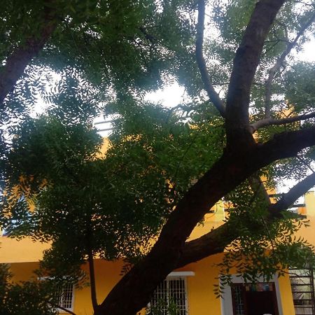 פונדיצ'רי Thendral Hostel Monthly Rental מראה חיצוני תמונה